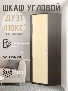 Шкаф угловой Дуэт Люкс без зеркала в Чебаркуле - chebarkul.mebel24.online | фото 3
