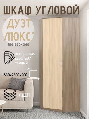 Шкаф угловой Дуэт Люкс без зеркала в Чебаркуле - chebarkul.mebel24.online | фото 7