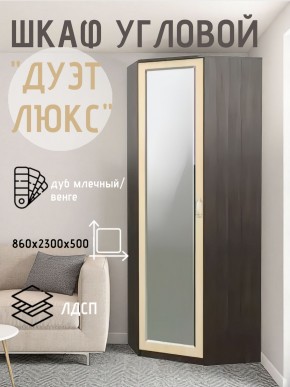Шкаф угловой Дуэт Люкс с зеркалом в Чебаркуле - chebarkul.mebel24.online | фото 5