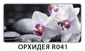 Стол раздвижной-бабочка Паук с фотопечатью Плита Р410 в Чебаркуле - chebarkul.mebel24.online | фото 15