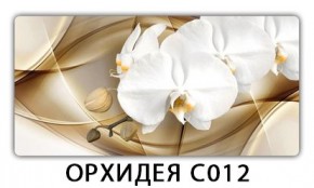 Стол раздвижной Трилогия с фотопечатью Лайм R156 в Чебаркуле - chebarkul.mebel24.online | фото 13
