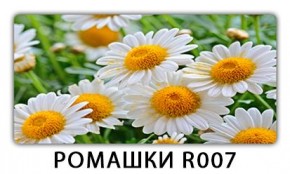 Стол раздвижной Трилогия с фотопечатью Лайм R156 в Чебаркуле - chebarkul.mebel24.online | фото 15