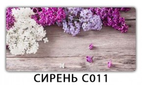 Стол раздвижной Трилогия с фотопечатью Лайм R156 в Чебаркуле - chebarkul.mebel24.online | фото 16
