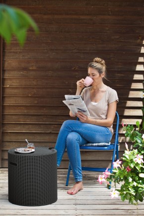 Столик-холодильник Кул-Стул (Cool stool) коричневый в Чебаркуле - chebarkul.mebel24.online | фото 2