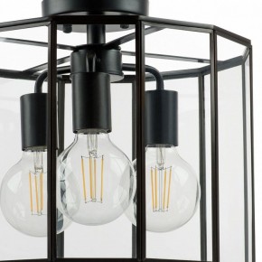 Светильник на штанге Lightstar Genni 798237 в Чебаркуле - chebarkul.mebel24.online | фото 4