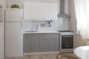 ТЕРЦИЯ Кухонный гарнитур Медиум 2 (1400 мм) в Чебаркуле - chebarkul.mebel24.online | фото