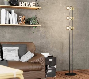 Торшер Eglo ПРОМО Chieveley 43544 в Чебаркуле - chebarkul.mebel24.online | фото 2