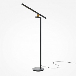 Торшер Maytoni Emphaty MOD363FL-L14B3K в Чебаркуле - chebarkul.mebel24.online | фото 2