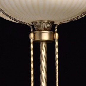 Торшер MW-Light Афродита 1 317040901 в Чебаркуле - chebarkul.mebel24.online | фото 6