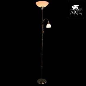 Торшер с подсветкой Arte Lamp Duetto A9569PN-2AB в Чебаркуле - chebarkul.mebel24.online | фото 3