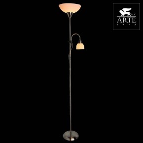 Торшер с подсветкой Arte Lamp Duetto A9569PN-2SS в Чебаркуле - chebarkul.mebel24.online | фото 3