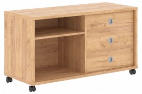 Тумба комбинированная Born B 202A в Чебаркуле - chebarkul.mebel24.online | фото