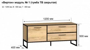 Тумба под ТВ Виртон-1 в Чебаркуле - chebarkul.mebel24.online | фото 10