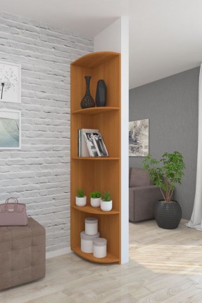 Угловой элемент ЛДСП 1 кат. в Чебаркуле - chebarkul.mebel24.online | фото 6