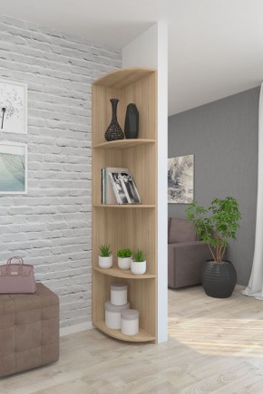 Угловой элемент ЛДСП 1 кат. в Чебаркуле - chebarkul.mebel24.online | фото 7