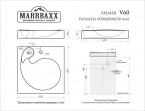 Умывальник над стиральной машиной (600*600х100) Лилия V60 (белый) с кронштейном без сифона (V60) в Чебаркуле - chebarkul.mebel24.online | фото 2