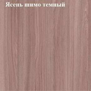 Вешалка для одежды (Ясень шимо темный) в Чебаркуле - chebarkul.mebel24.online | фото 2