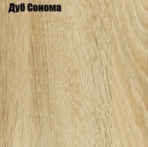 Вешалка с зеркалом ЛИРА (Дуб сонома) в Чебаркуле - chebarkul.mebel24.online | фото 2