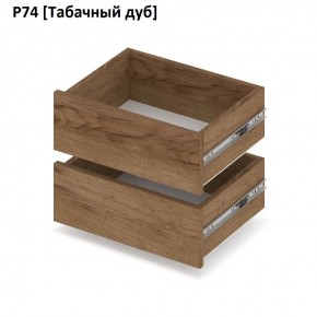 РОЛАНД Выдвижные ящики  Р76 в Чебаркуле - chebarkul.mebel24.online | фото 10