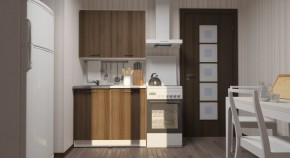 ЯНА Кухонный гарнитур Нормал  (1500 мм) в Чебаркуле - chebarkul.mebel24.online | фото